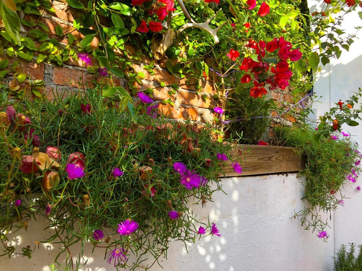 Hostel Casa Chuparrosa San Miguel de Allende Zewnętrze zdjęcie